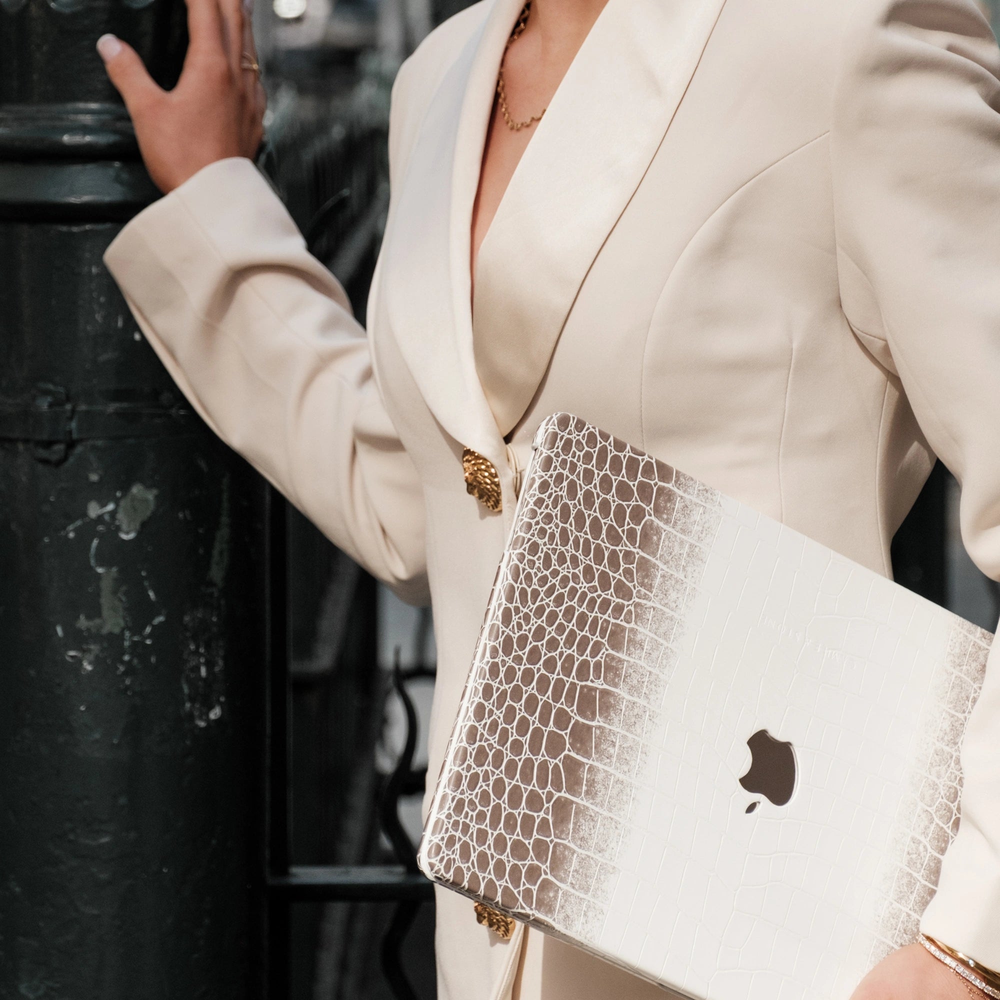 Himalayan Macbook Laptop Cover Case
