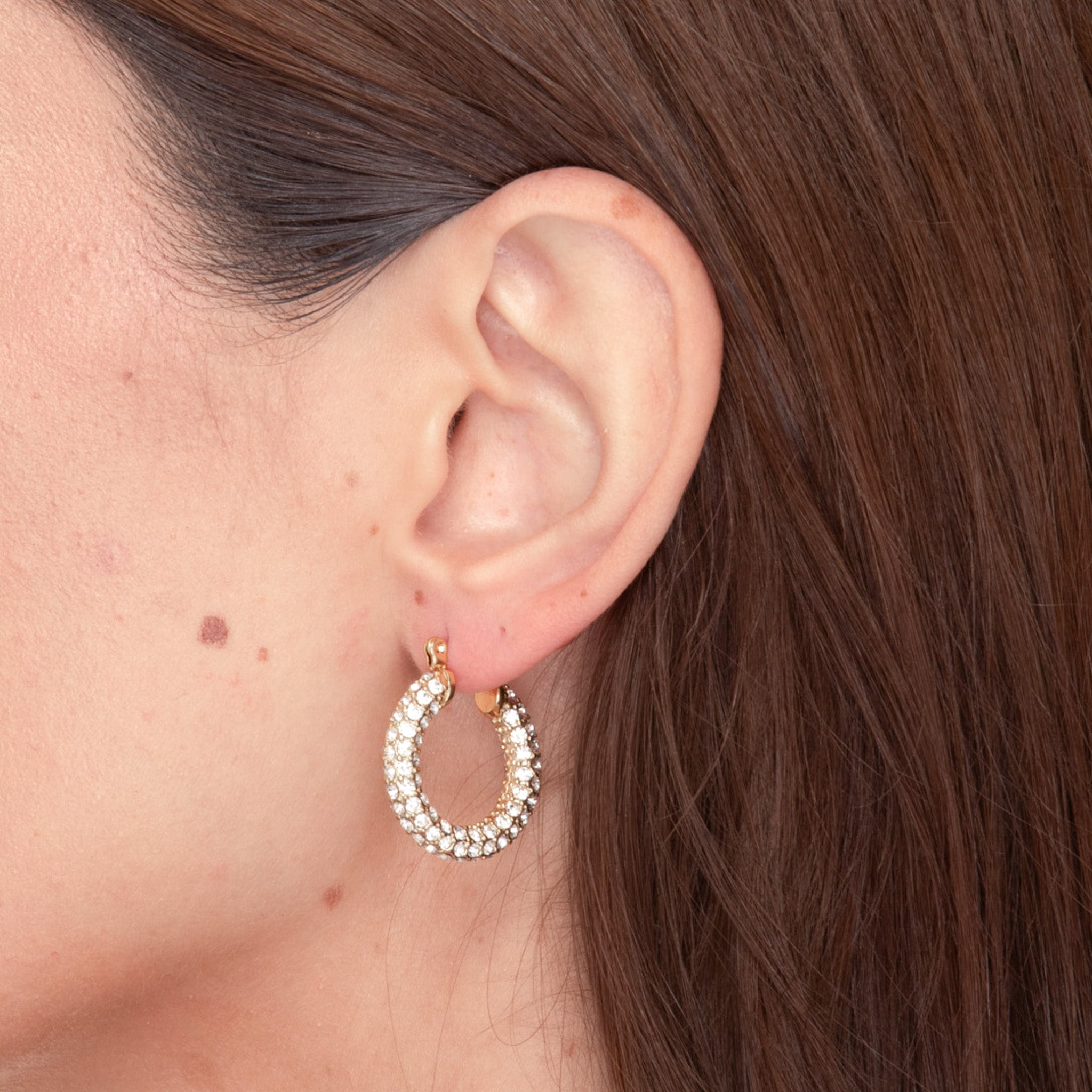 Alessia Zirconia Hoop Earrings - Camile & Stone