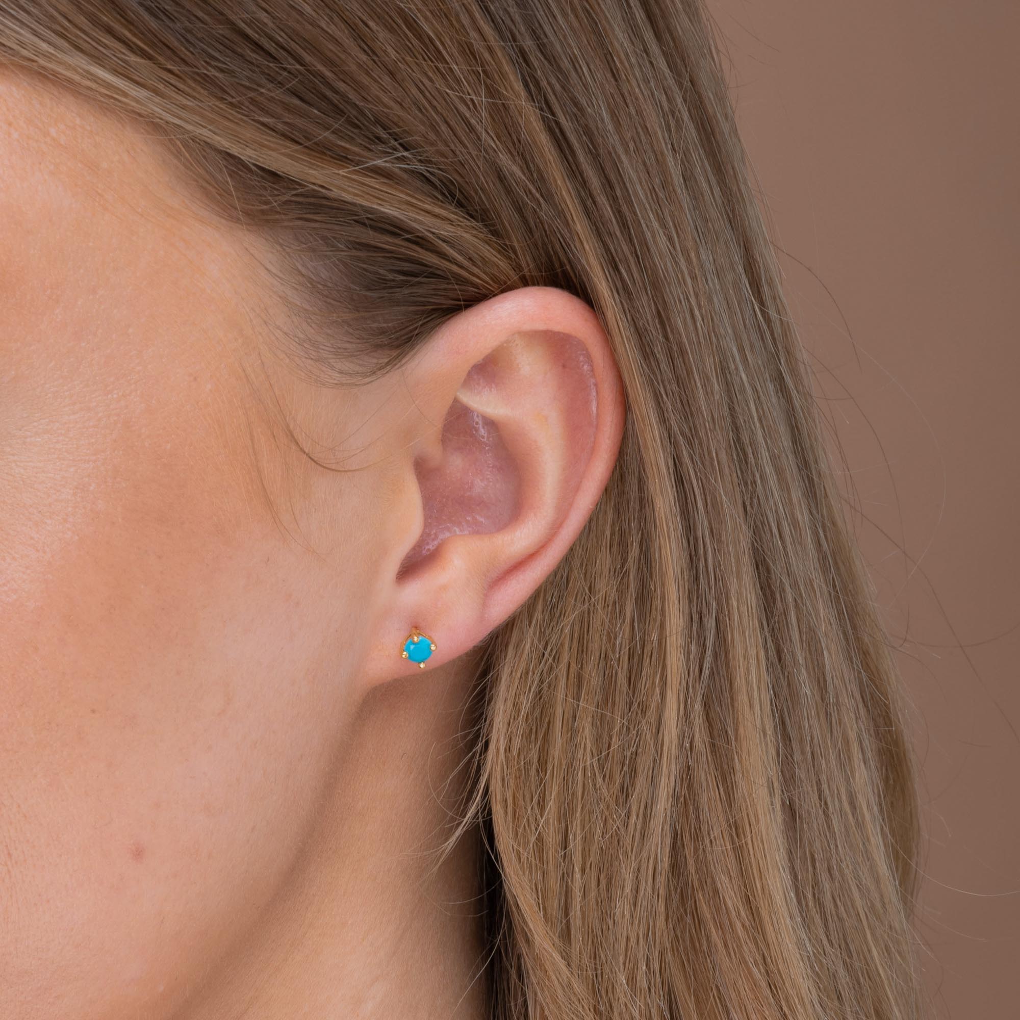 Classic Birthstone Earrings December - Camile & Stone