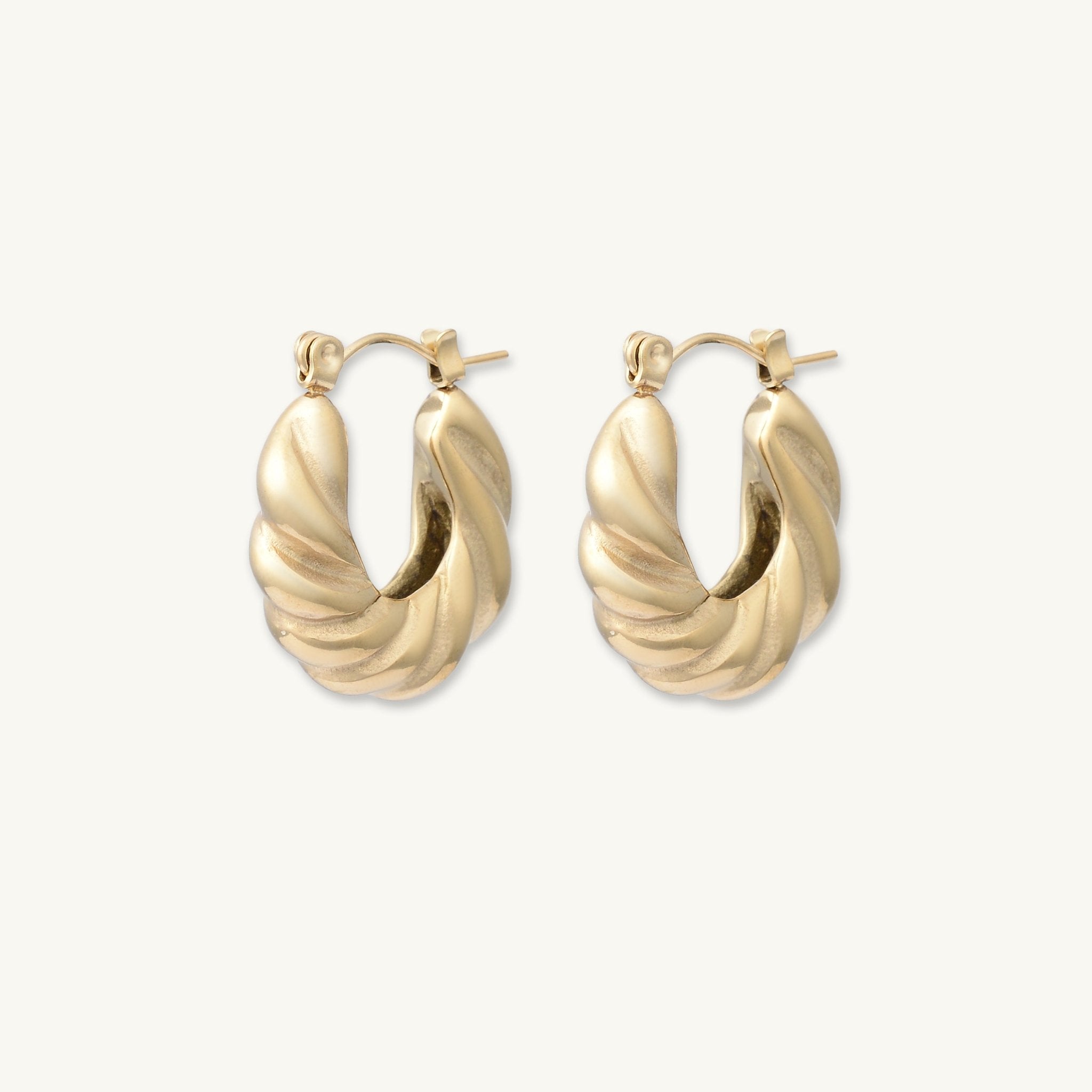 Sydney Hoop Earrings - Camile & Stone