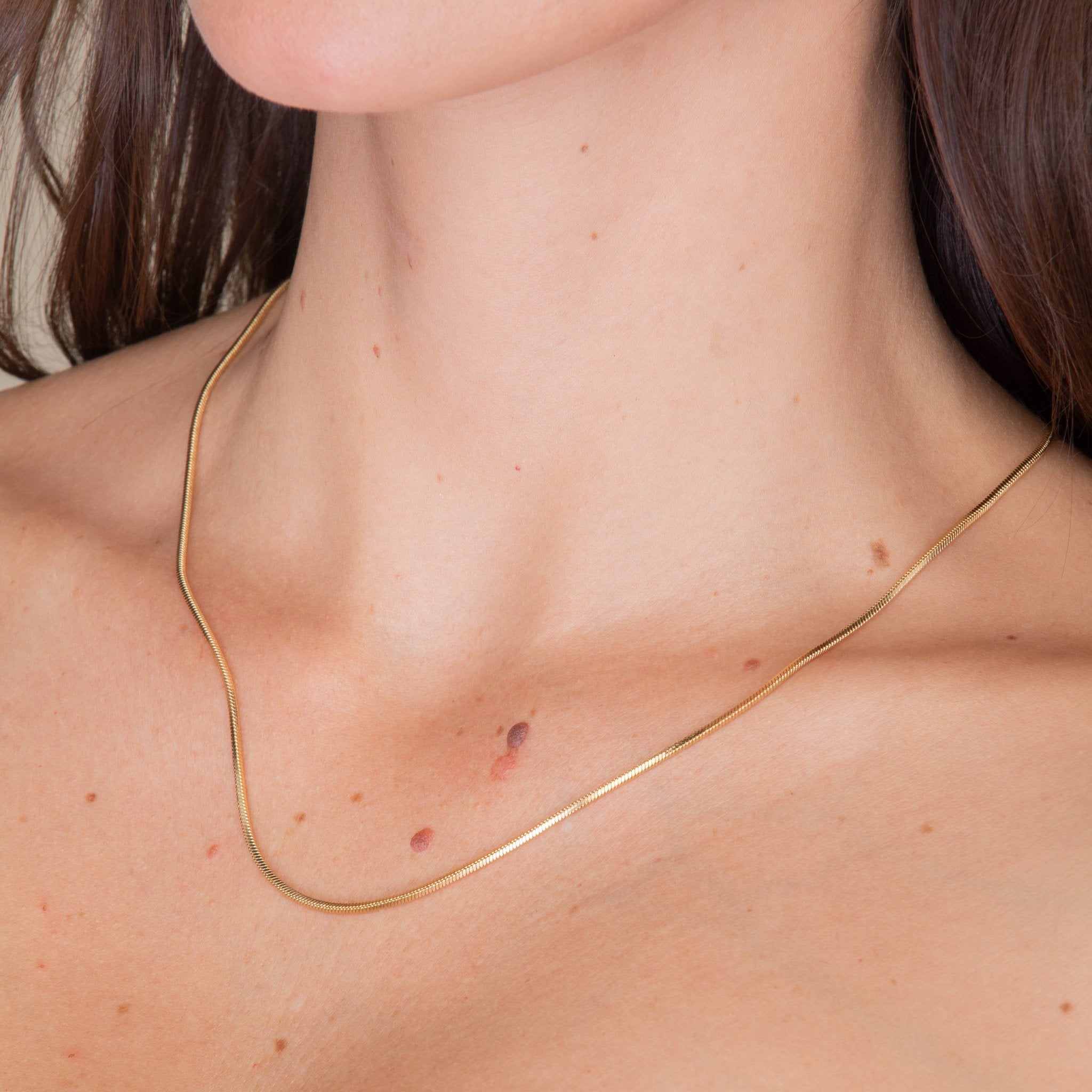 Unisex Small Dog Tag Snake Chain Necklace - Camile & Stone