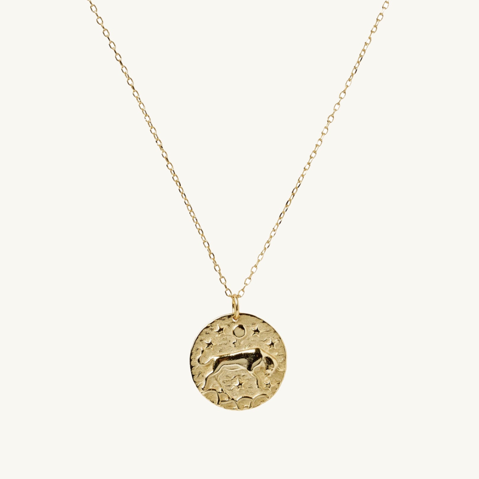 Taurus - Star Sign Necklace - Camile & Stone