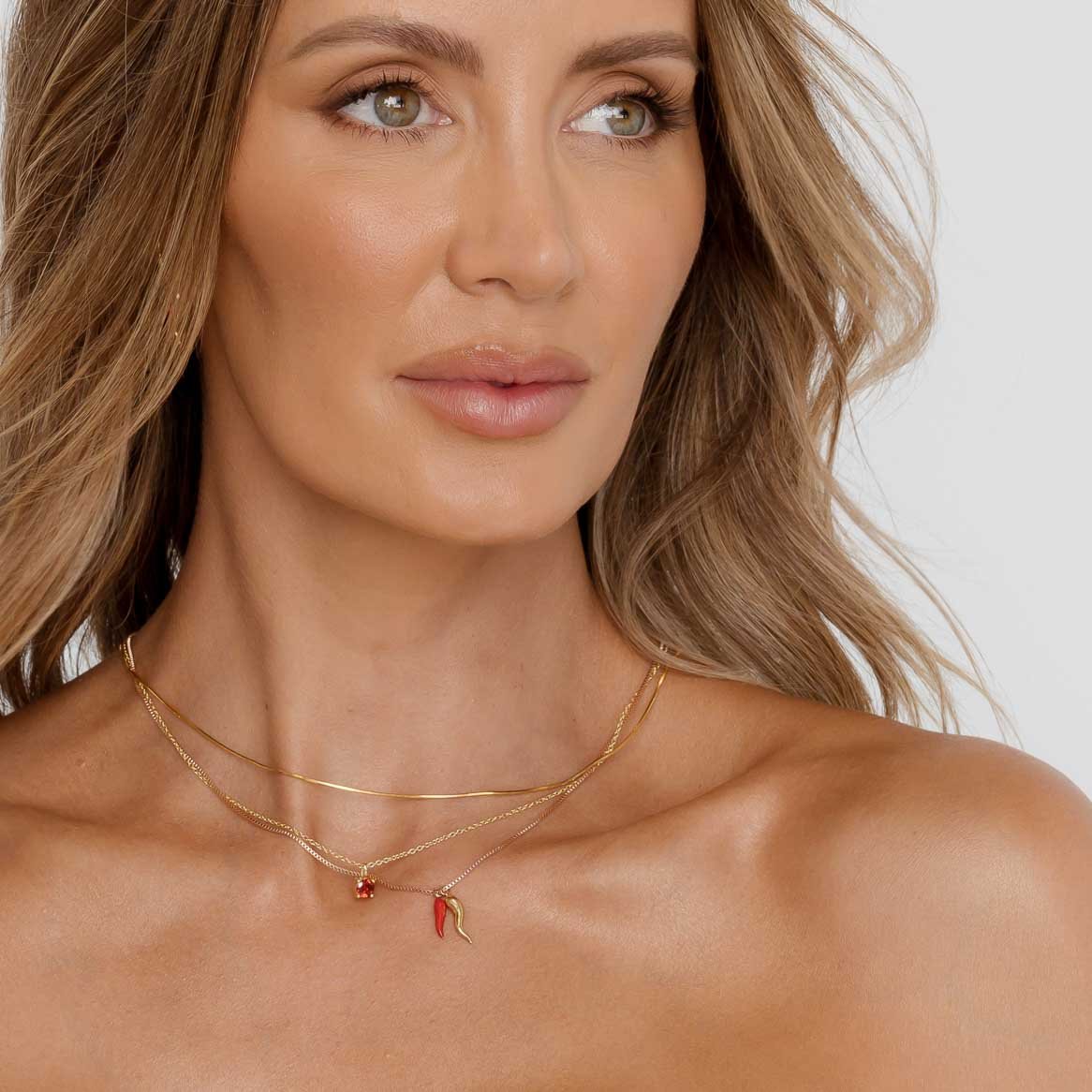 Classic Birthstone Necklace January - Camile & Stone